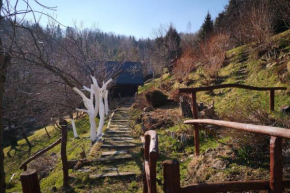 Dom w górach Różany ogród, Mszana Górna